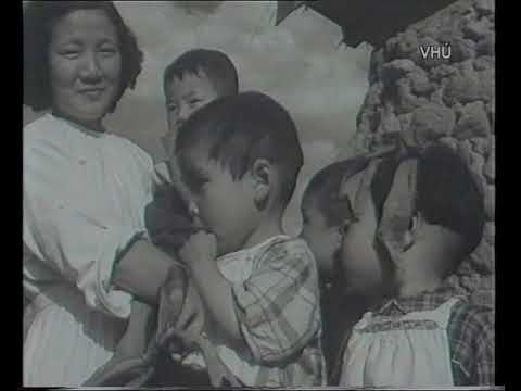 CESKOSLOVENSKA NEMOCNICE V KOREJI